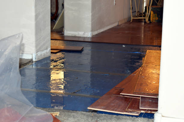 Professional Flood Cleanup technician working in Wild Rose, WI